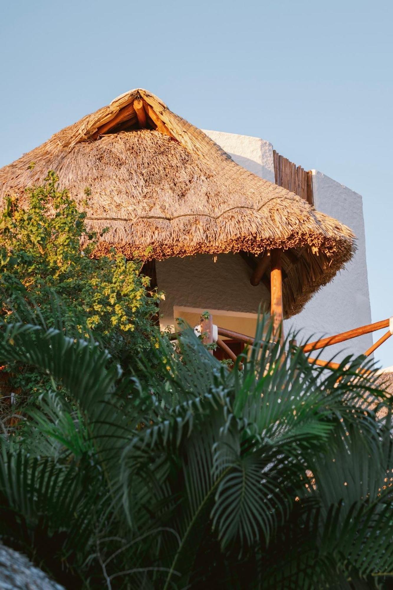 Casa Mech
