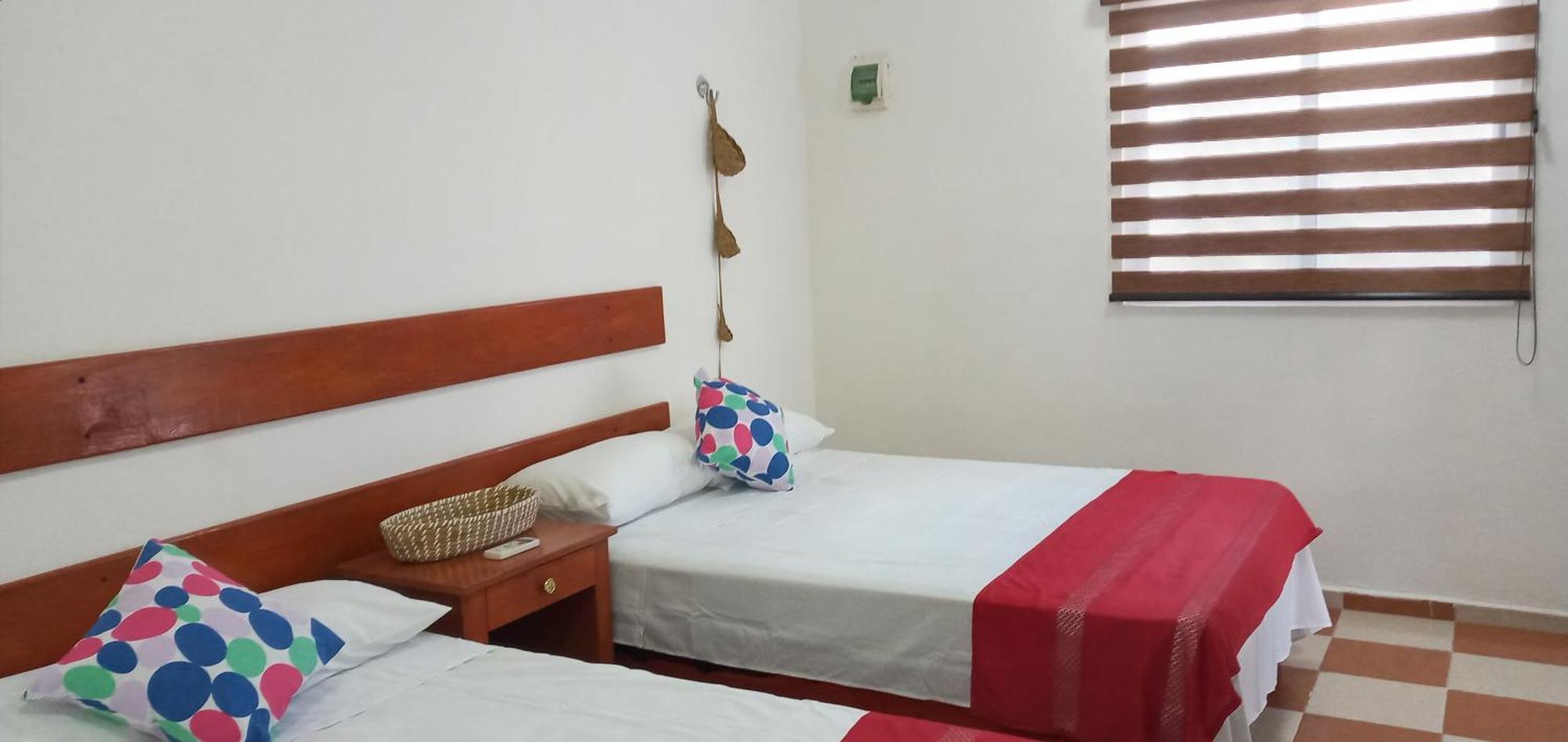 4 Tiburon Toro Squalo's Place * Isla Holbox