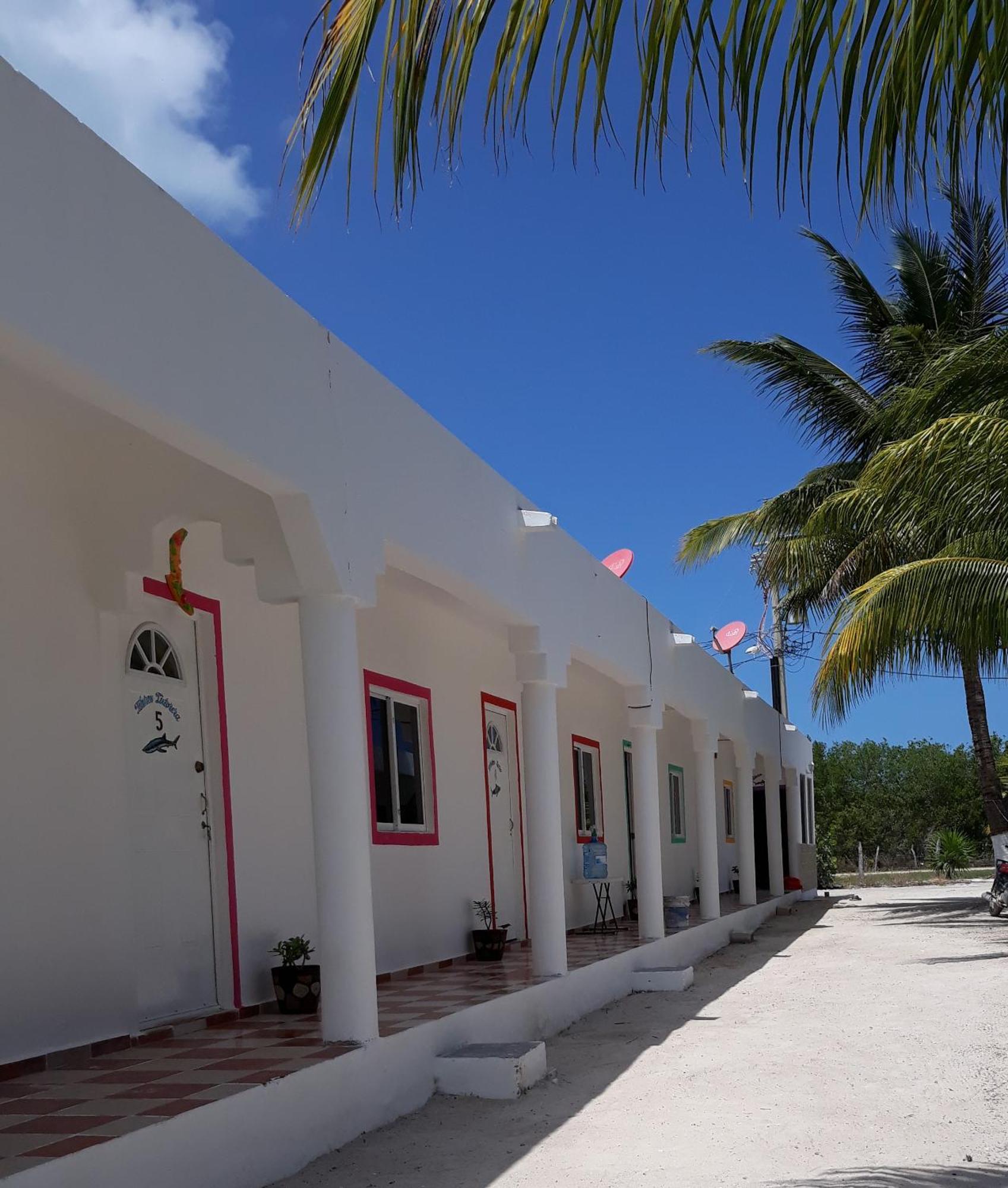 4 Tiburon Toro Squalo's Place Apartment Isla Holbox