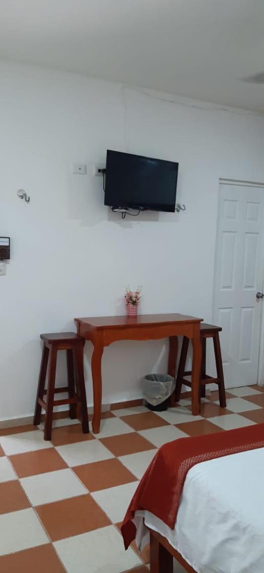 4 Tiburon Toro Squalo's Place Isla Holbox
