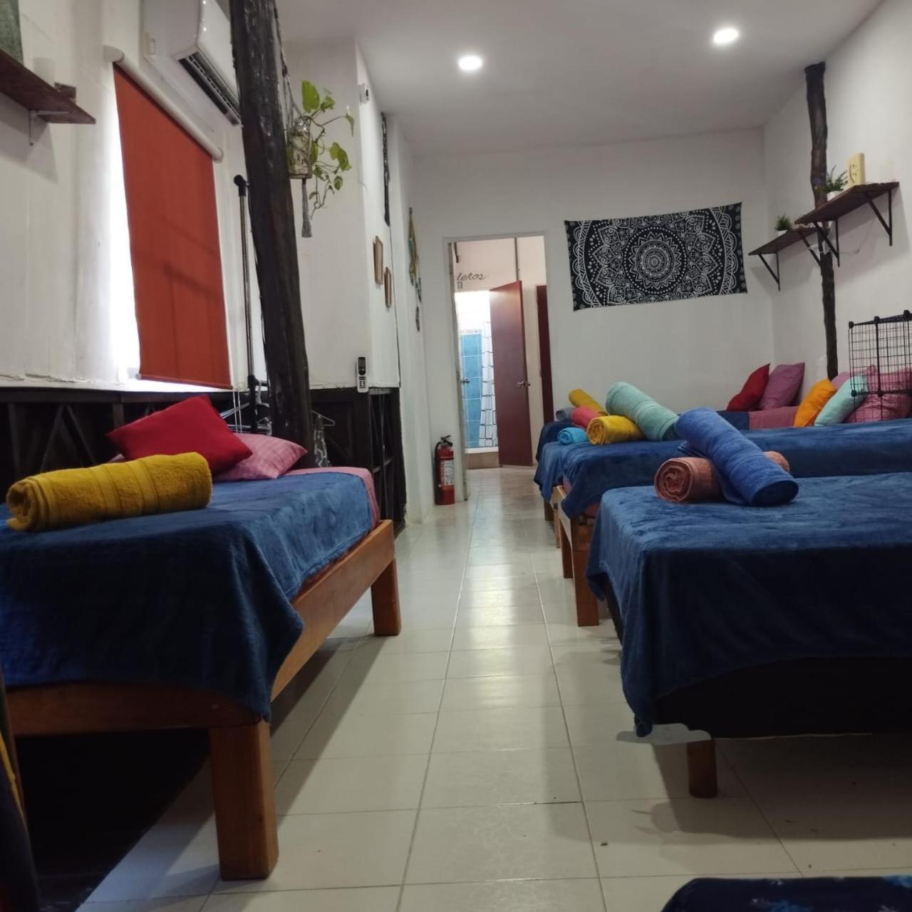 Starfish Aptmt No Apartment *