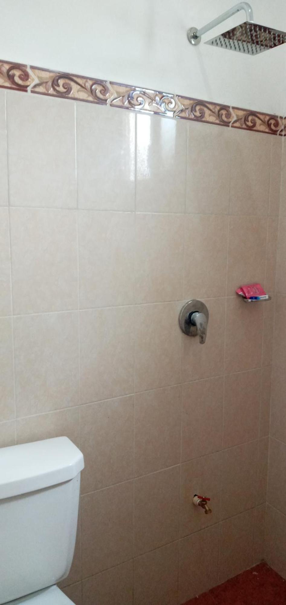 1tiburon Tigre Squalos Place