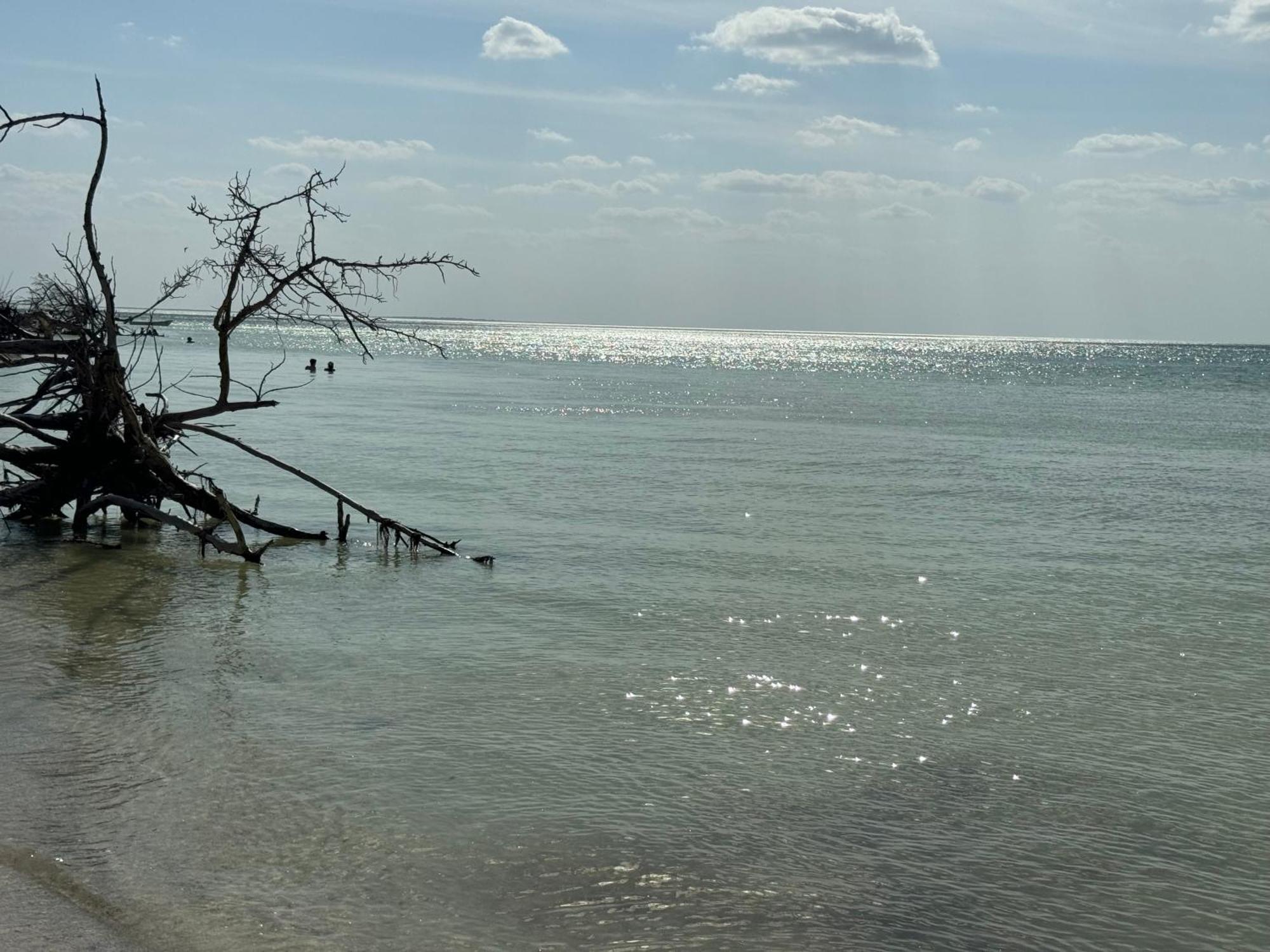 Mariby Hotel Isla Holbox