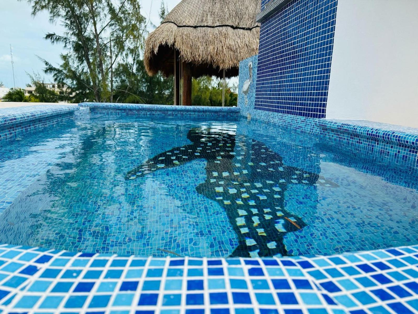 Ponto 4* Isla Holbox
