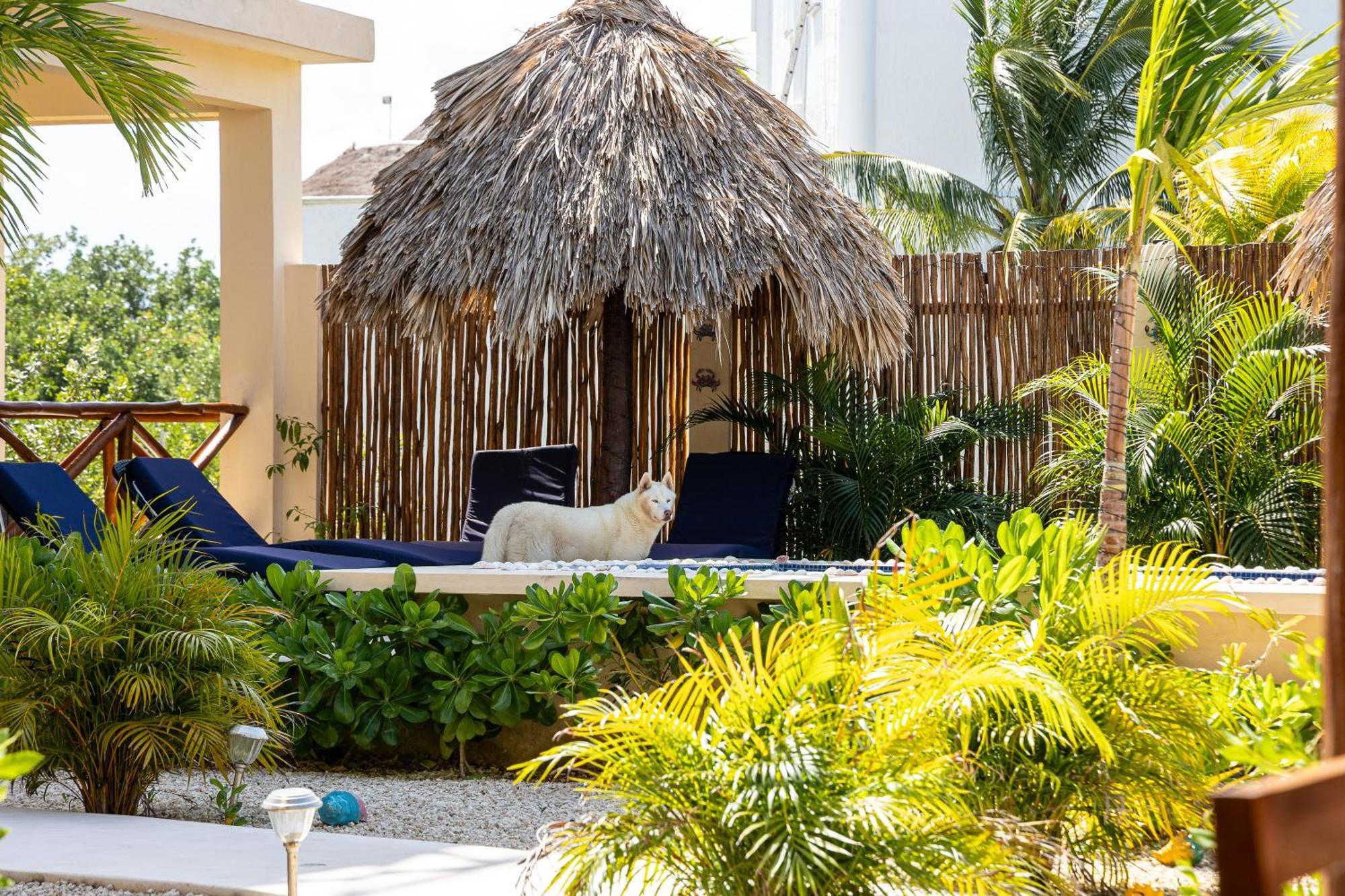 3 Bedrooms House Shared Pool * Isla Holbox