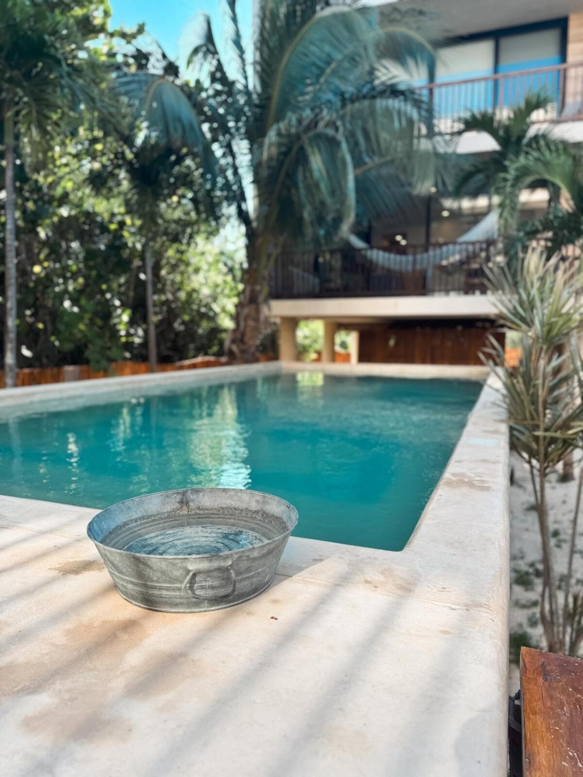 Apartment Garden 2br Steps From The With Pool View
