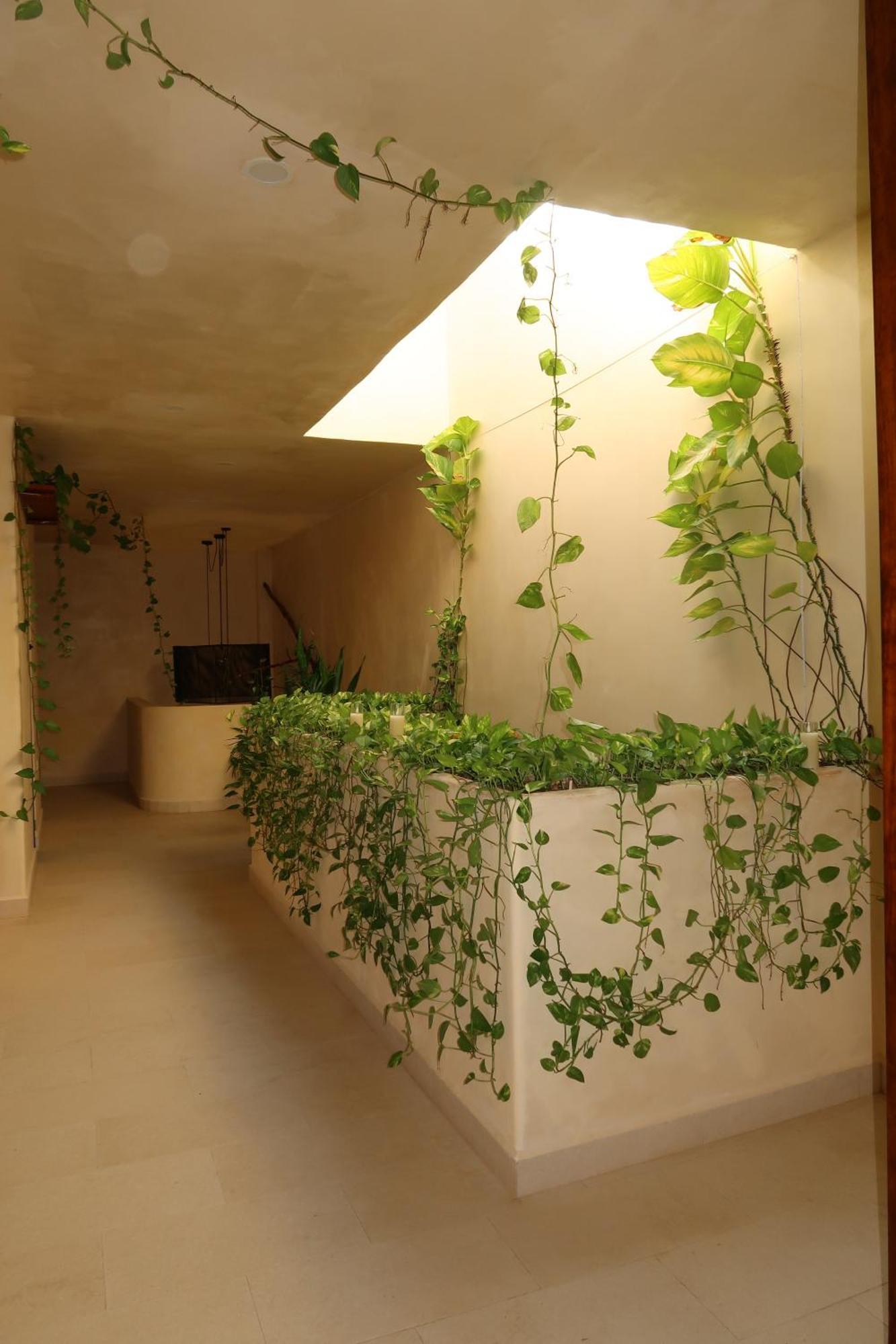 Sunsteps Casa Isla Holbox