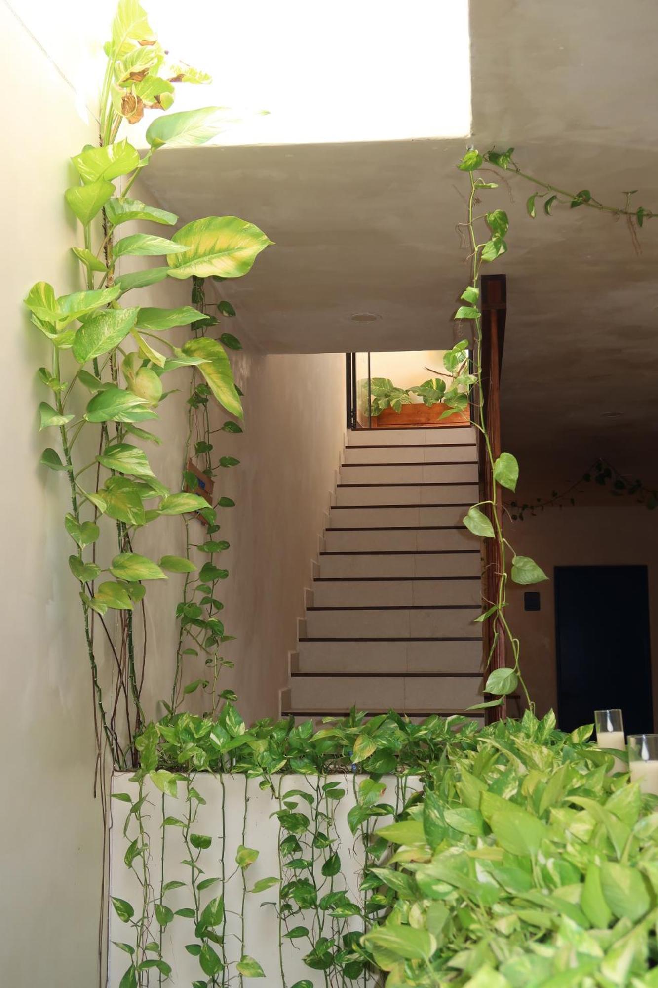 Apartment Sunsteps Casa *