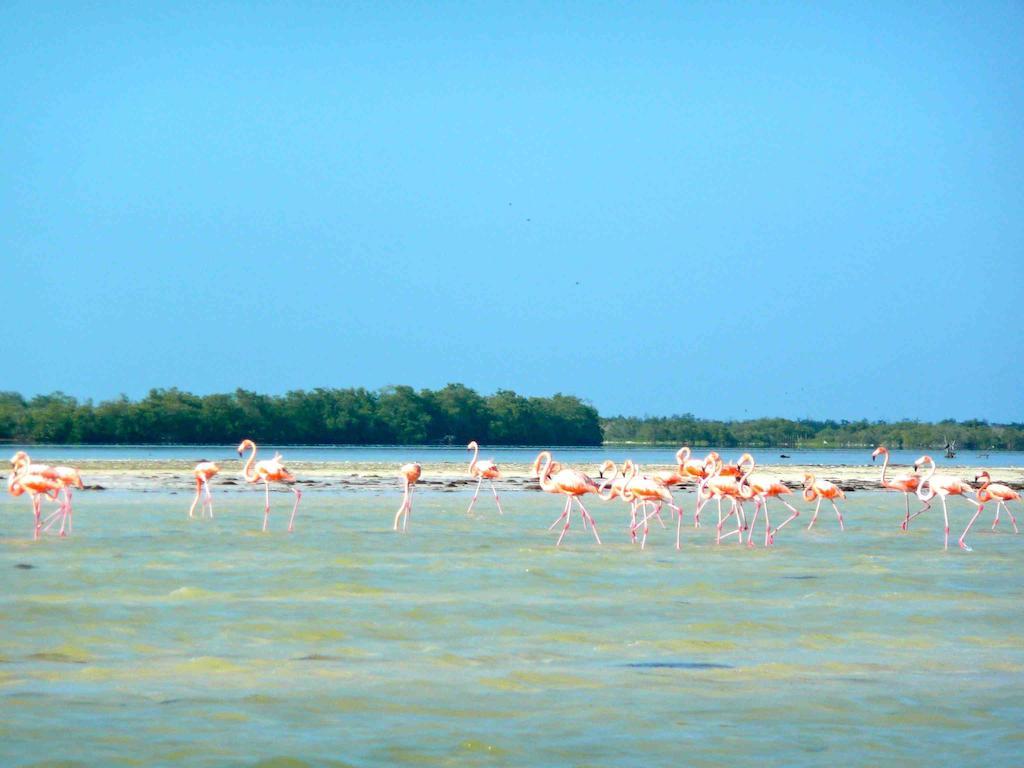 Casa Del Viento - Adults Only Isla Holbox