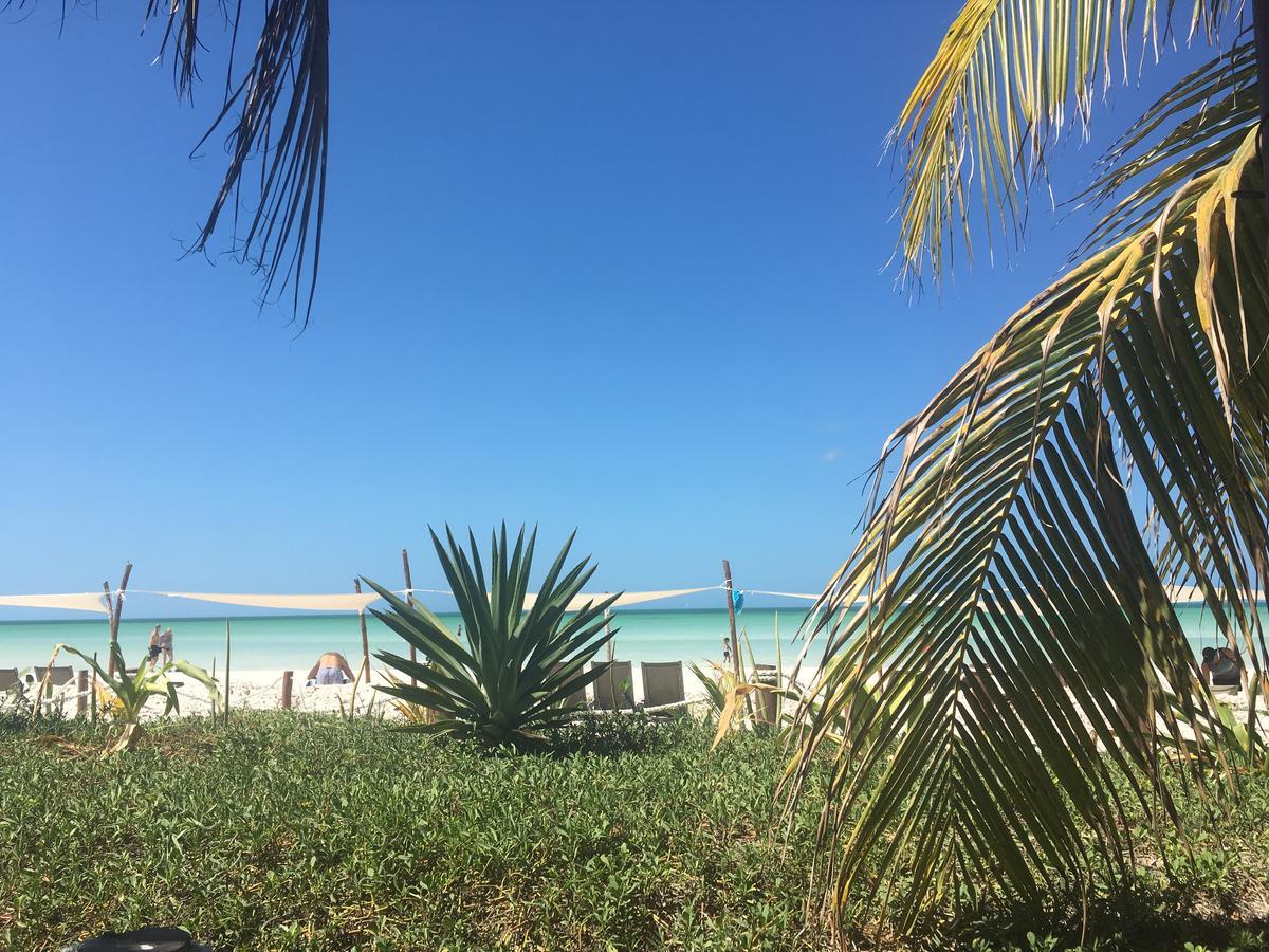 Lovebox * Isla Holbox