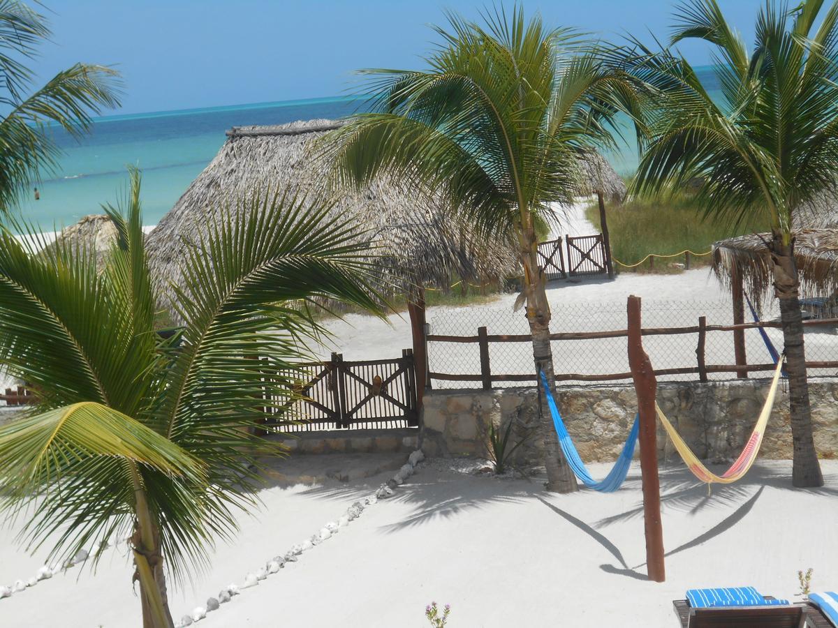 Apartahotel & Suites 3*
