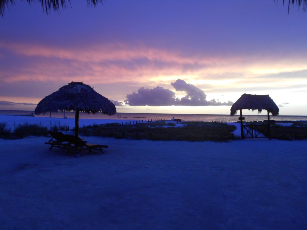 Apartahotel & Suites 3*