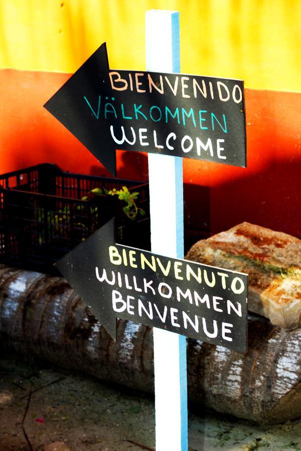 Hotel Hacienda La Catrina Isla Holbox