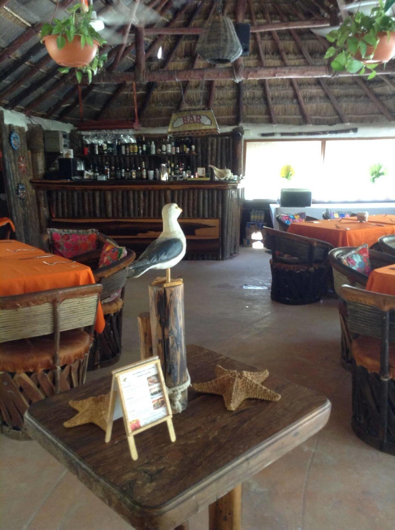 Delfines Isla Holbox