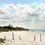 Kaplumbaga
