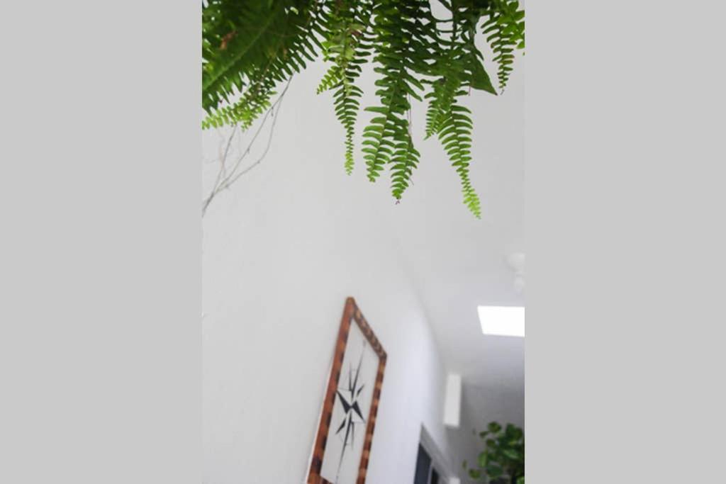 Casa Universo Hostel