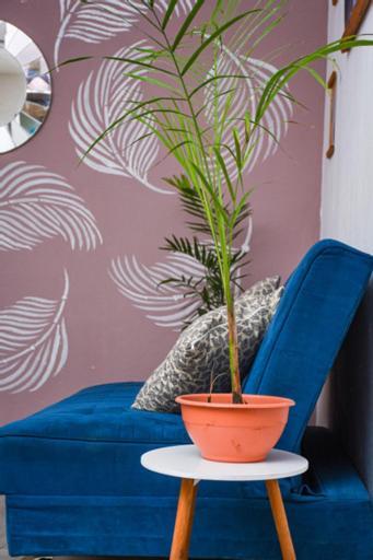 Guest house Departamentos Cerca De Ferry Isla Holbox