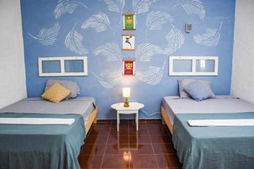 Guest house Departamentos Cerca De Ferry Isla Holbox