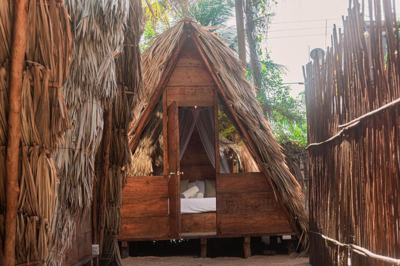 Guest house Mapache &