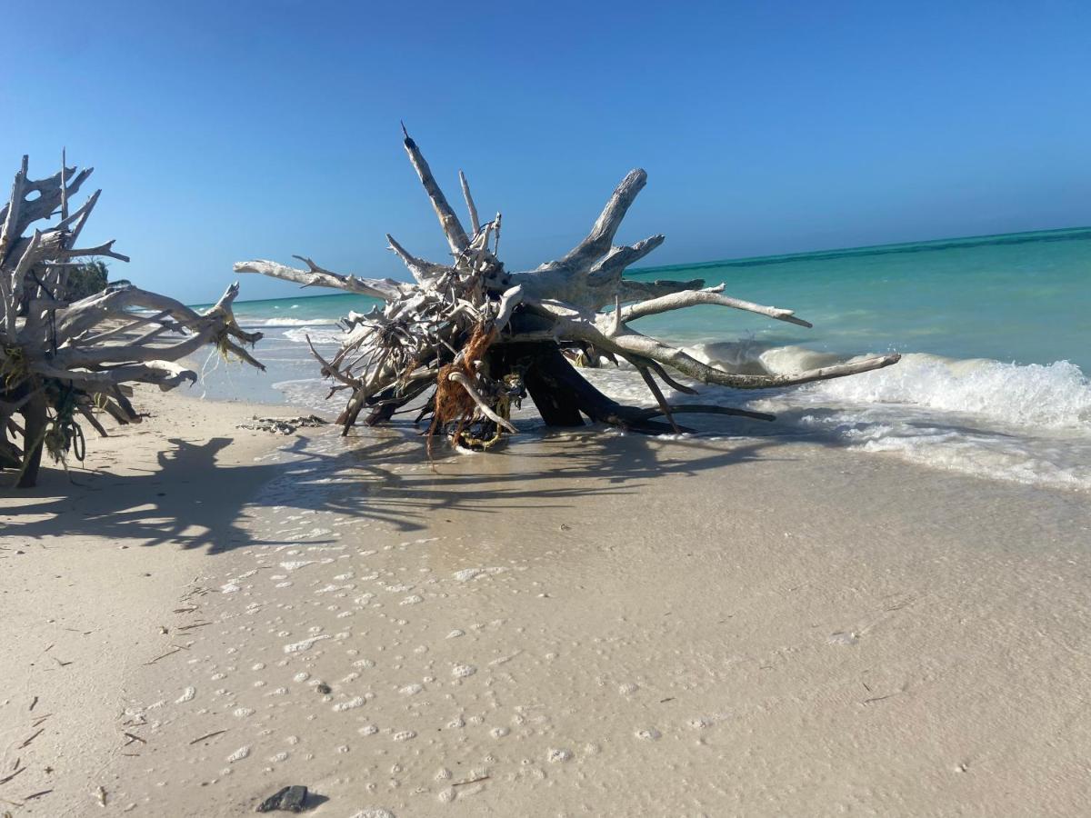 Laisla Luxury * Isla Holbox