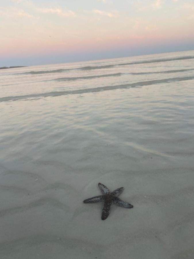 Villa Laisla Luxury Isla Holbox