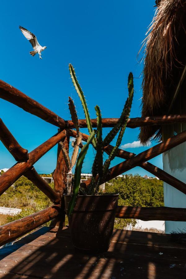 Casa Poeta Hotel Isla Holbox