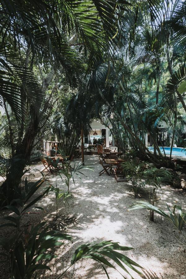 Casa La Sultana Holbox: Amazing House With Pool