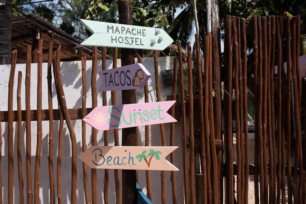 Mapache & Guest house Isla Holbox
