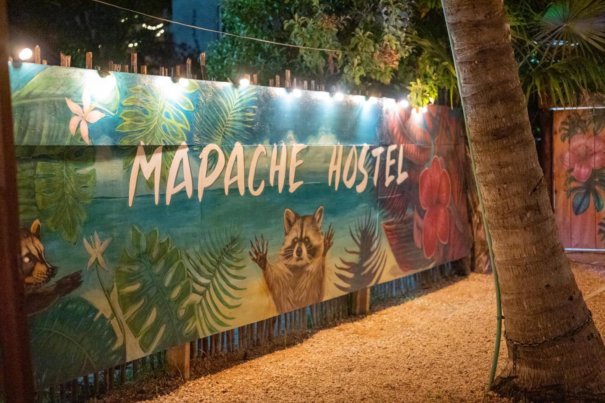 Mapache & * Isla Holbox