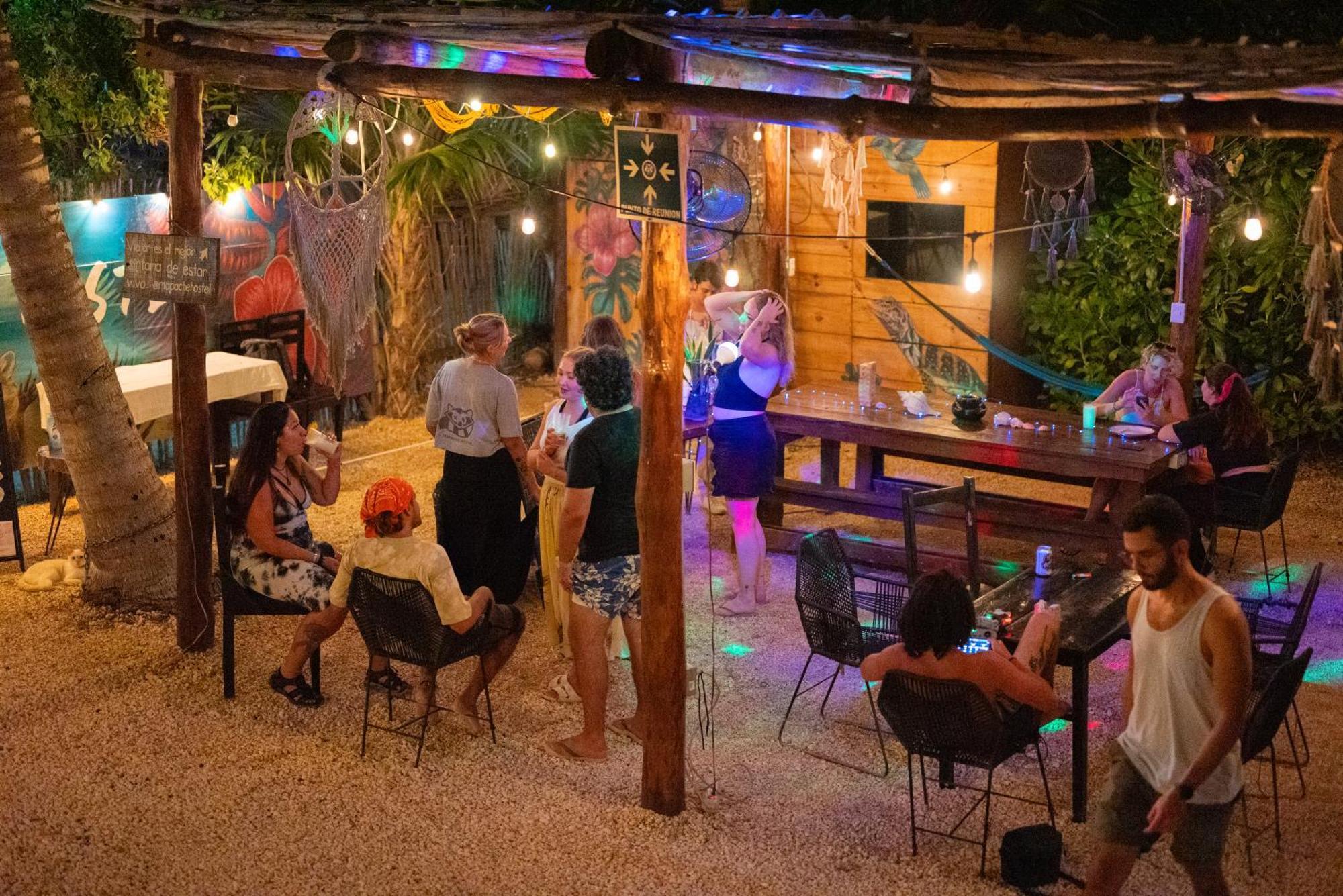 Mapache & Guest house
