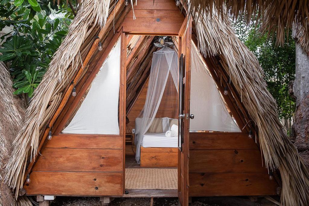 Mapache & Guest house