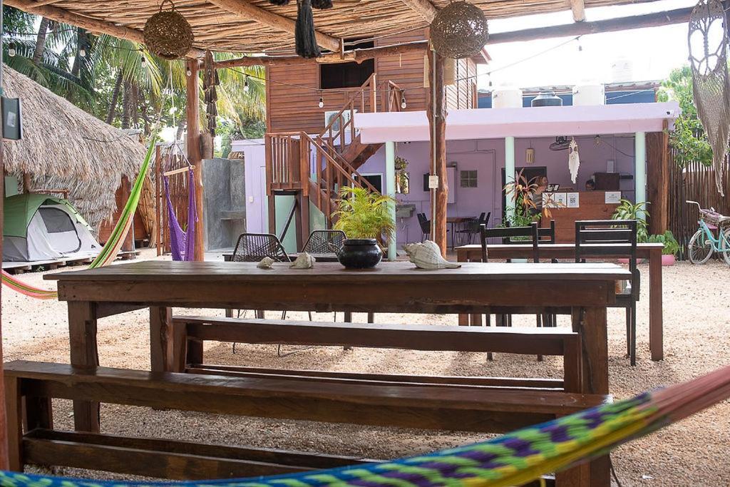 Guest house Mapache &