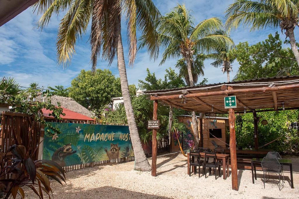 Guest house Mapache &