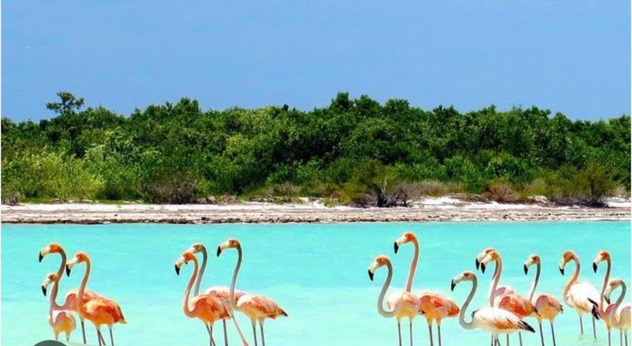 Villa Casa Naay Isla Holbox
