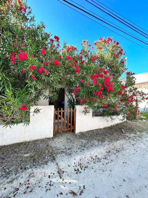 Casa Paulita Isla Holbox