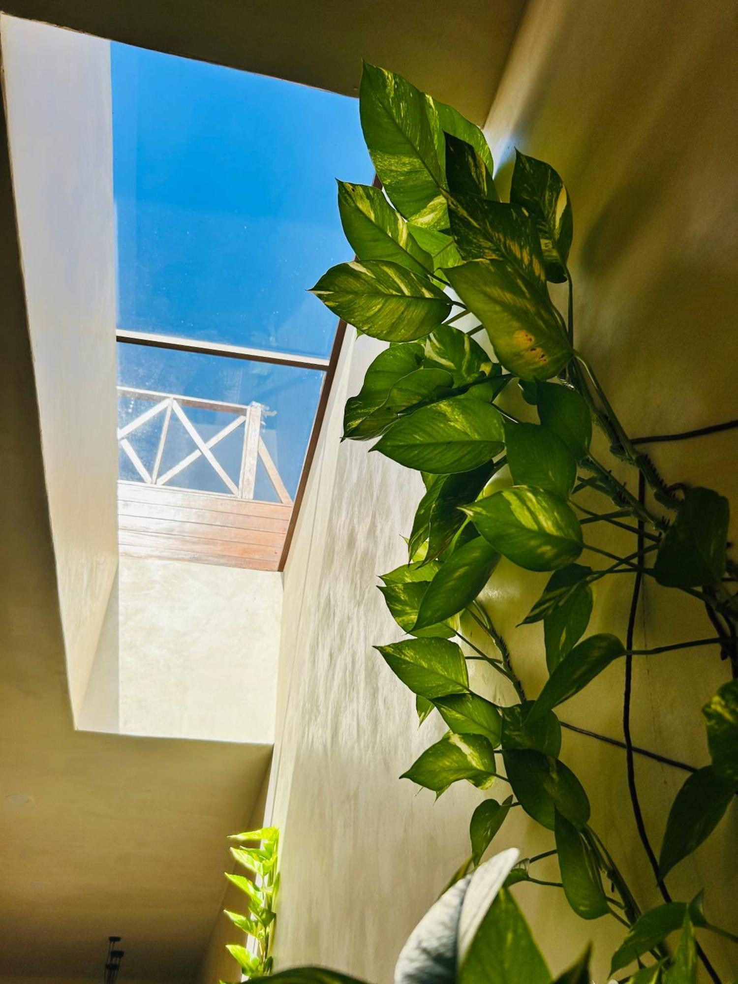 Sunsteps Casa Apartment *