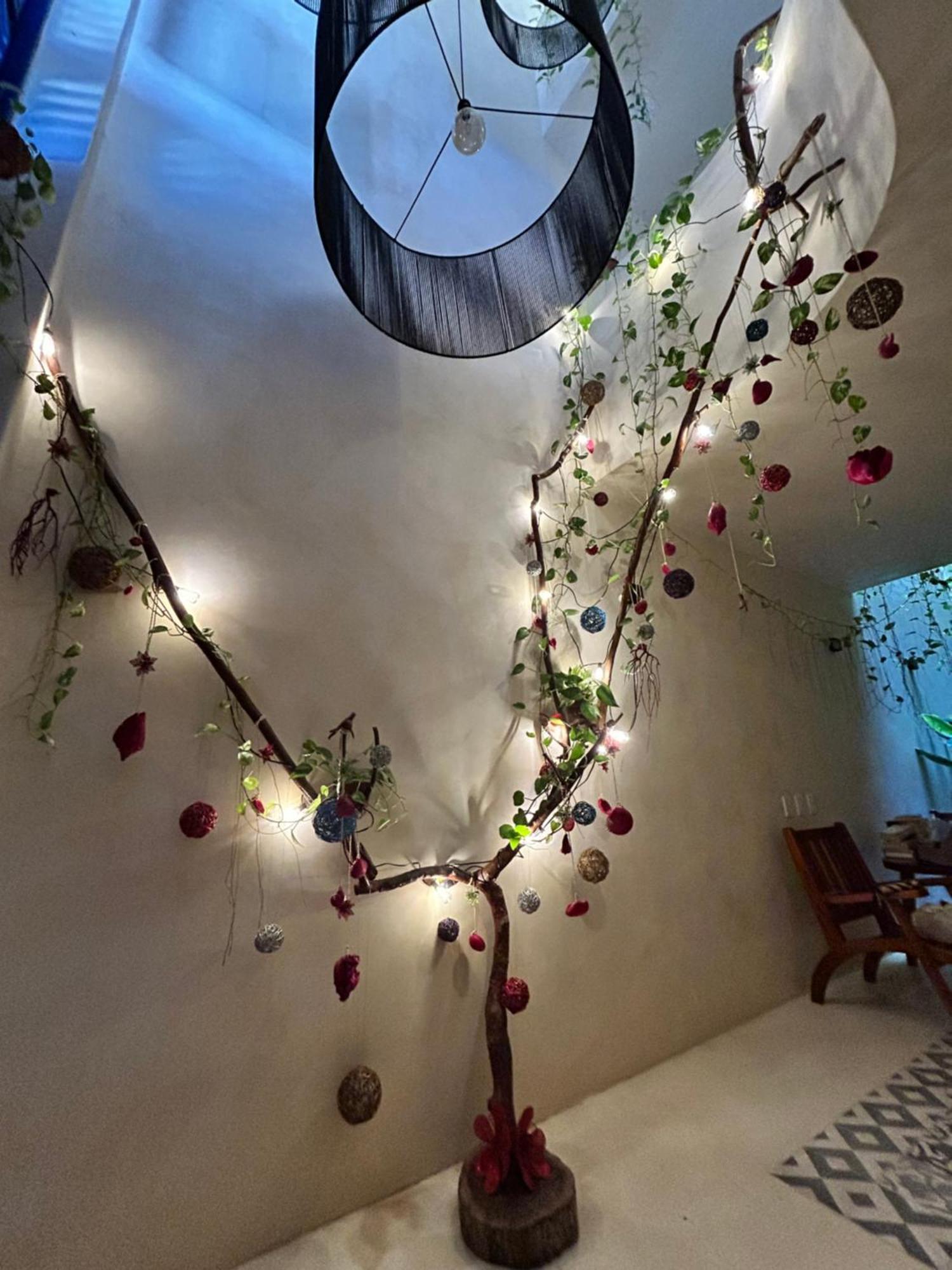 Apartment Sunsteps Casa *