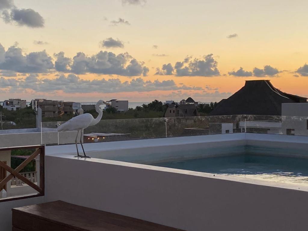 Sunsteps Casa * Isla Holbox