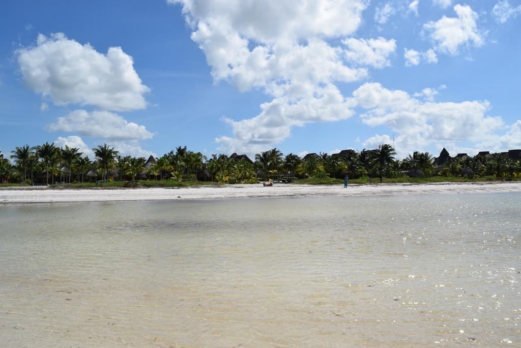 Delfines Isla Holbox