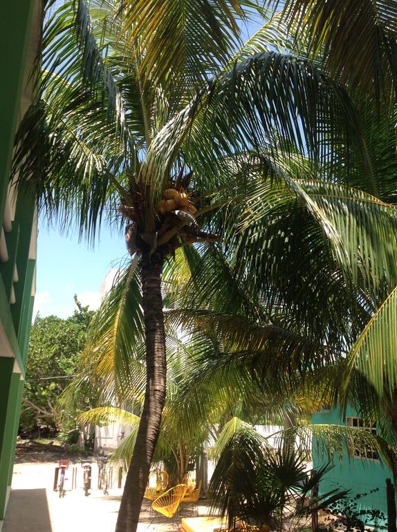Aloha Apartamento