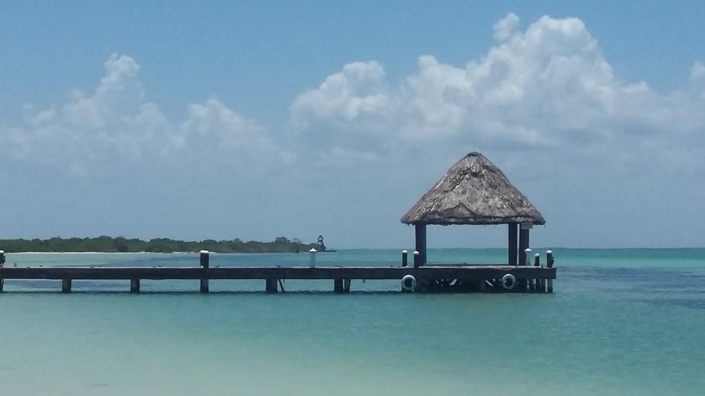 Delfines Isla Holbox