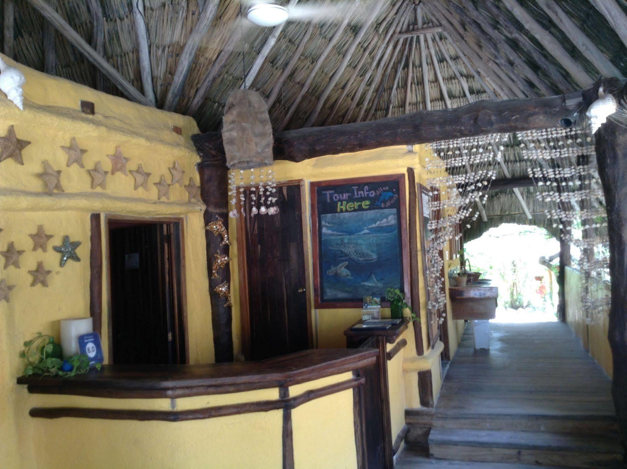 Delfines Isla Holbox