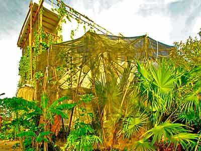 Apartment Blatha Tropical