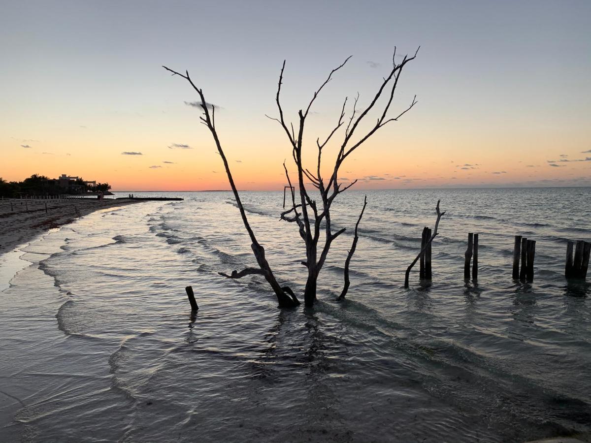 Laisla Luxury * Isla Holbox