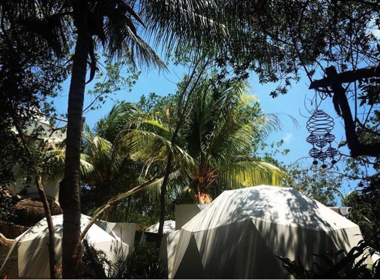 Frequency * Isla Holbox