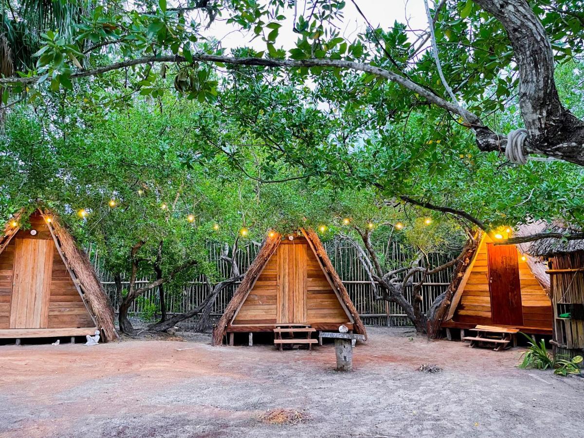 Camping La Aldea Y Isla Holbox