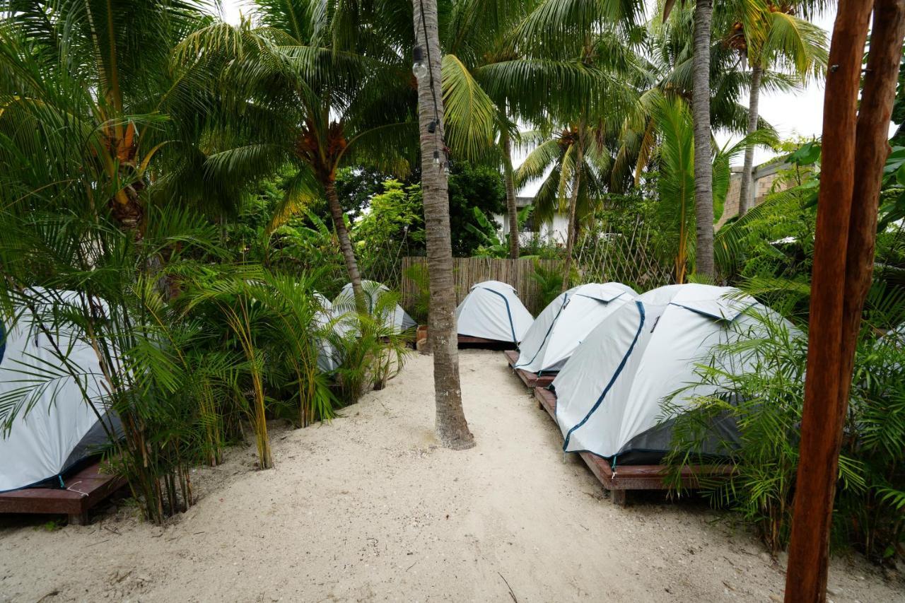 Camping Ka'anche Luxury tent Isla Holbox
