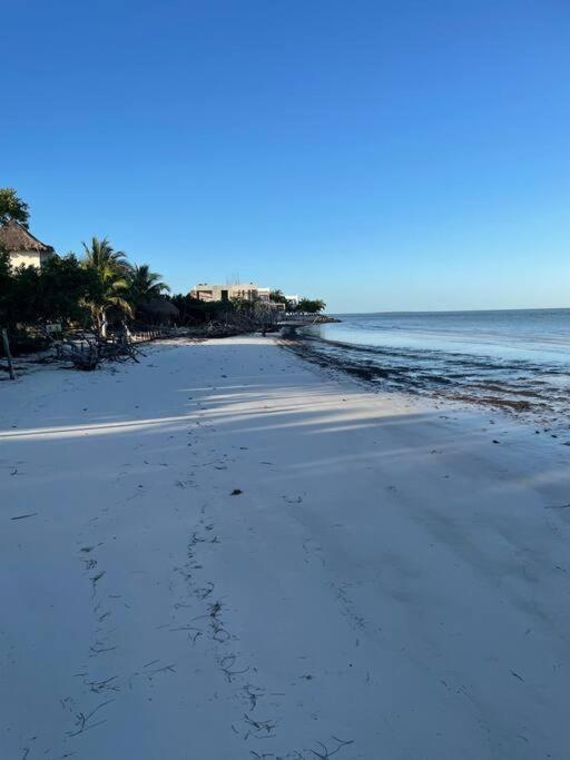 Casa Molly * Isla Holbox