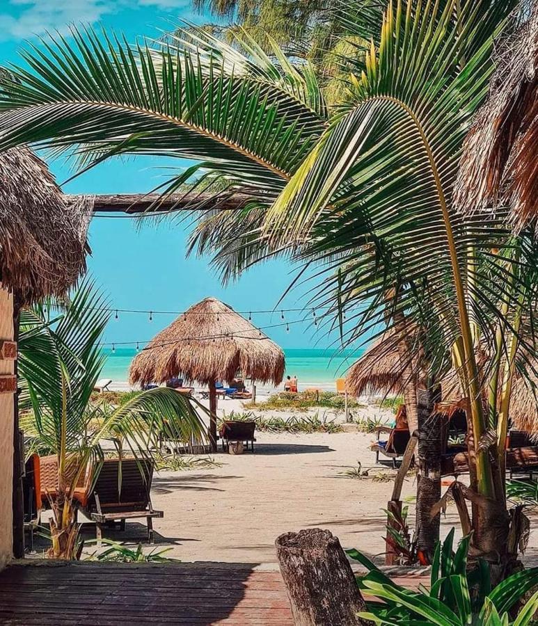 Hotel Club De Playa Kasa Maya - Frente Al Mar Isla Holbox