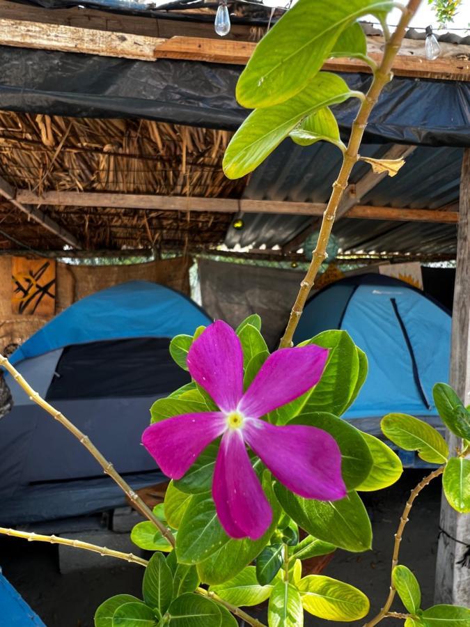 Casa De Santos Y Eco Campsite *